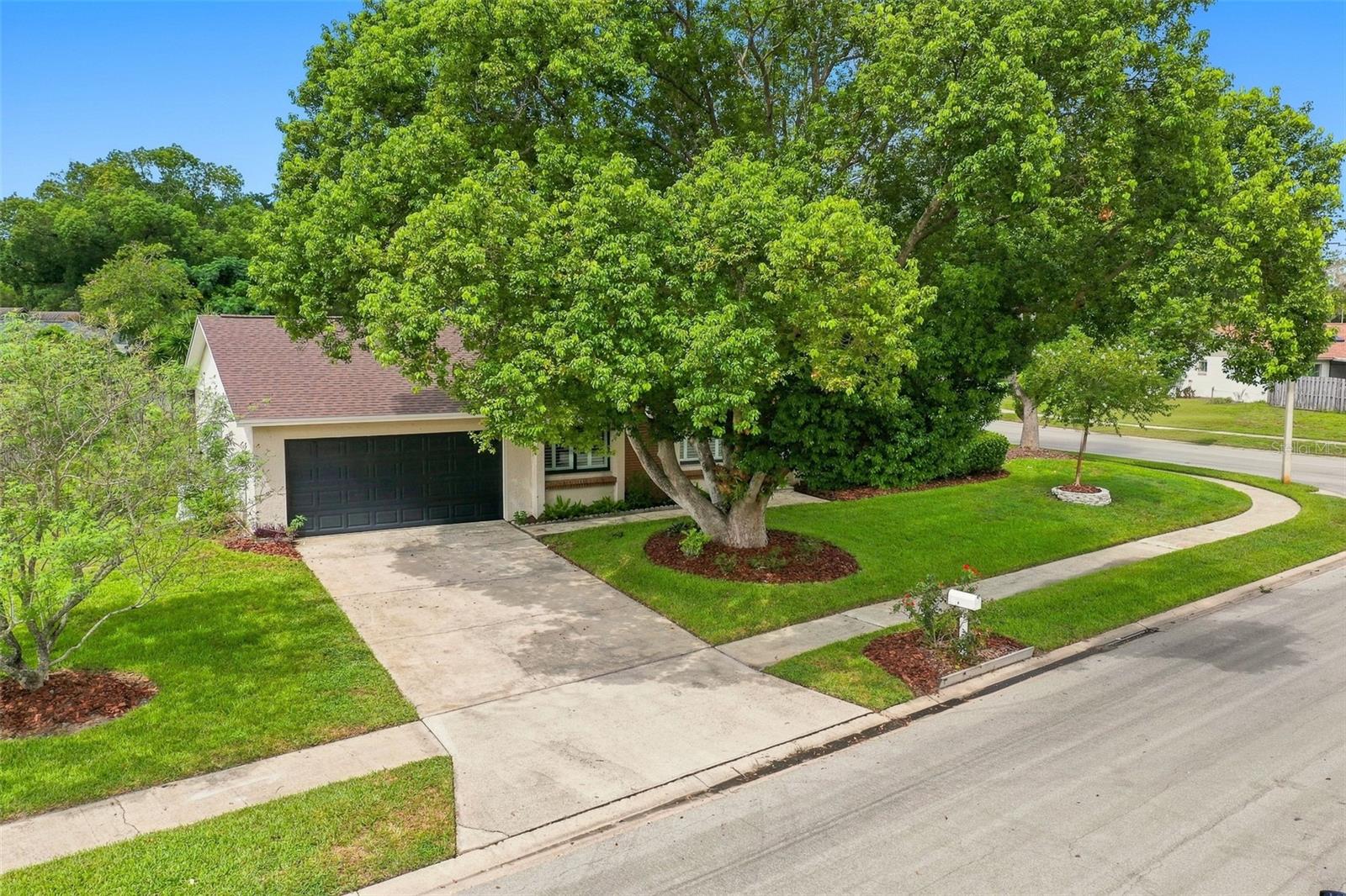 820 Van Ness Cir, Longwood, FL 32750 photo