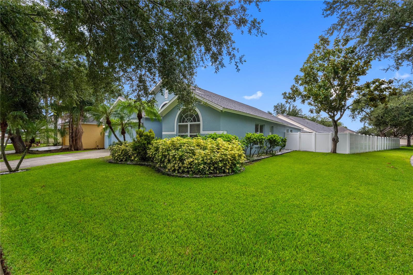 3306 Pin Oak Ln, Tampa, FL 33618 photo