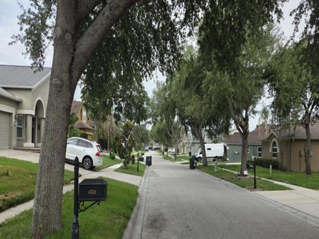 4528 River Close Blvd, Valrico, FL 33596 photo