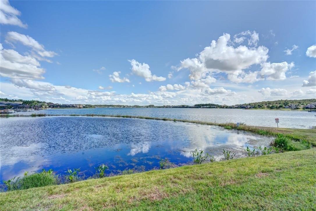 16215 Ivy Lake Dr, Odessa, FL 33556 photo