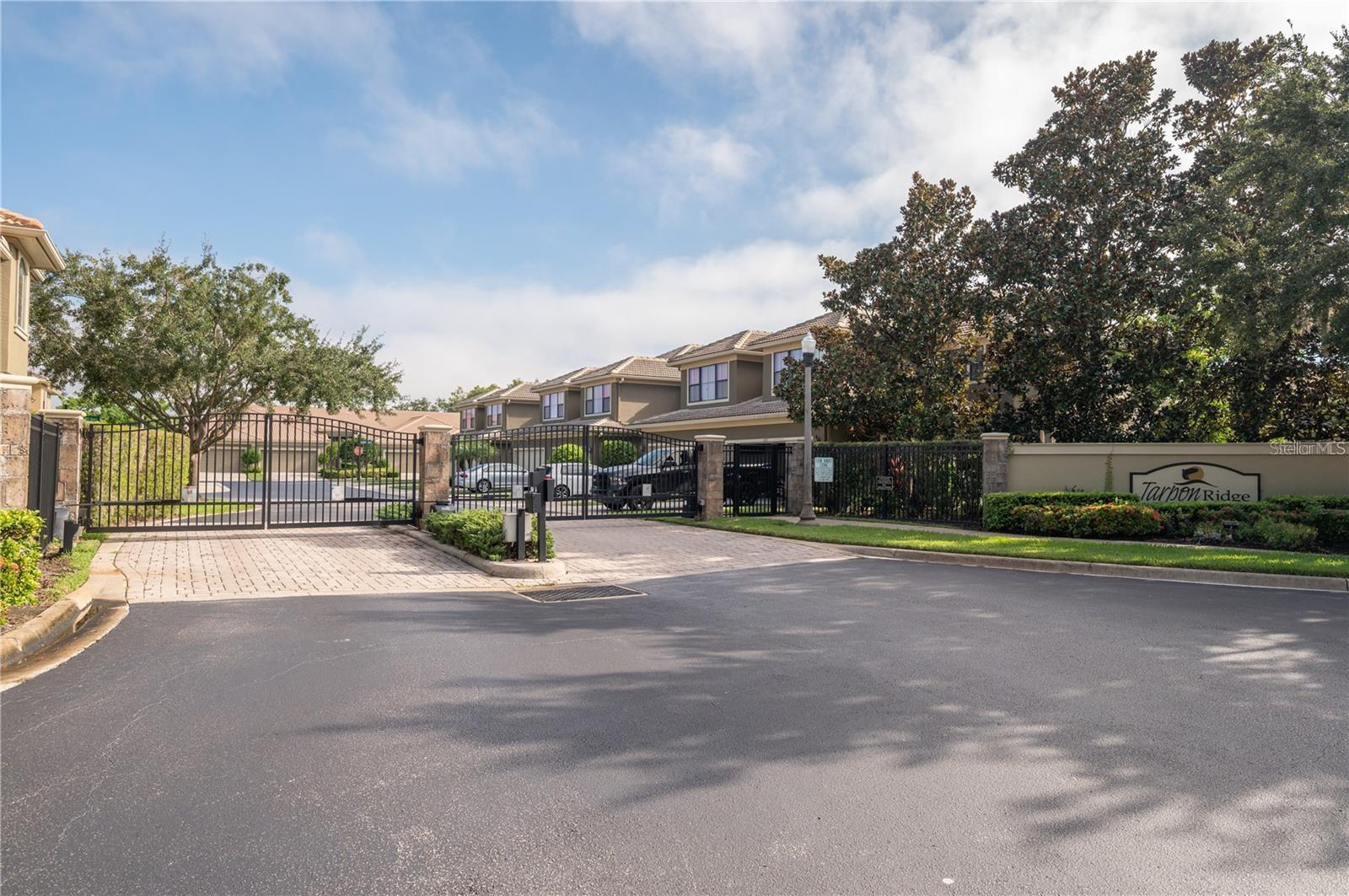 2527 Silverback Ct, Palm Harbor, FL 34684 photo