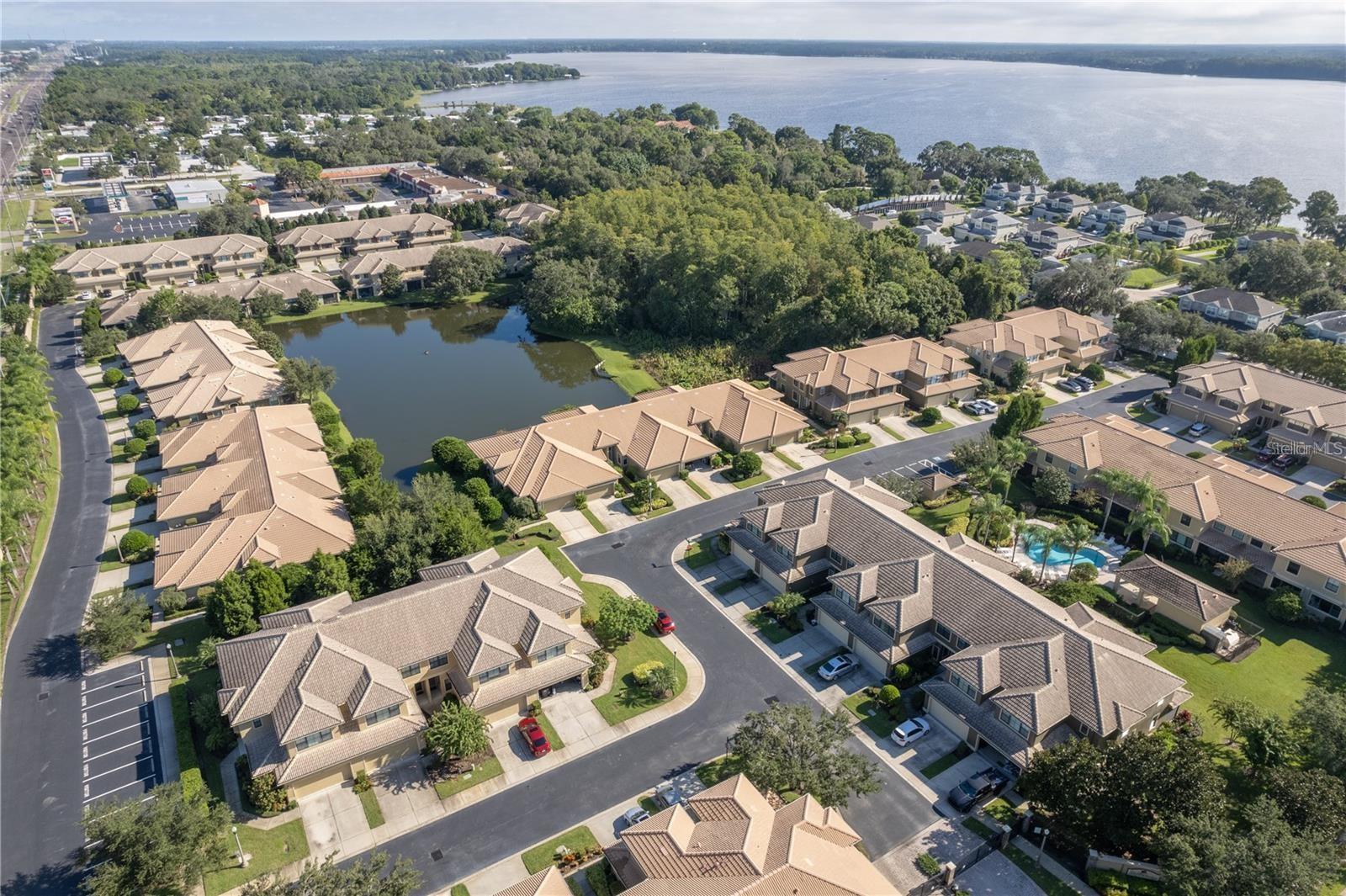 2527 Silverback Ct, Palm Harbor, FL 34684 photo