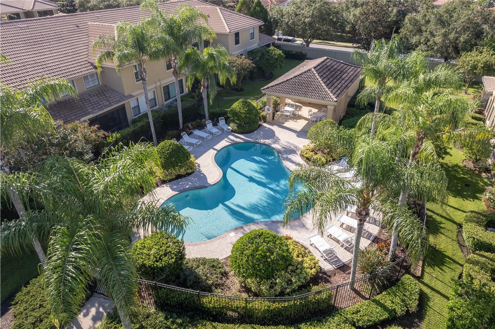 2527 Silverback Ct, Palm Harbor, FL 34684 photo