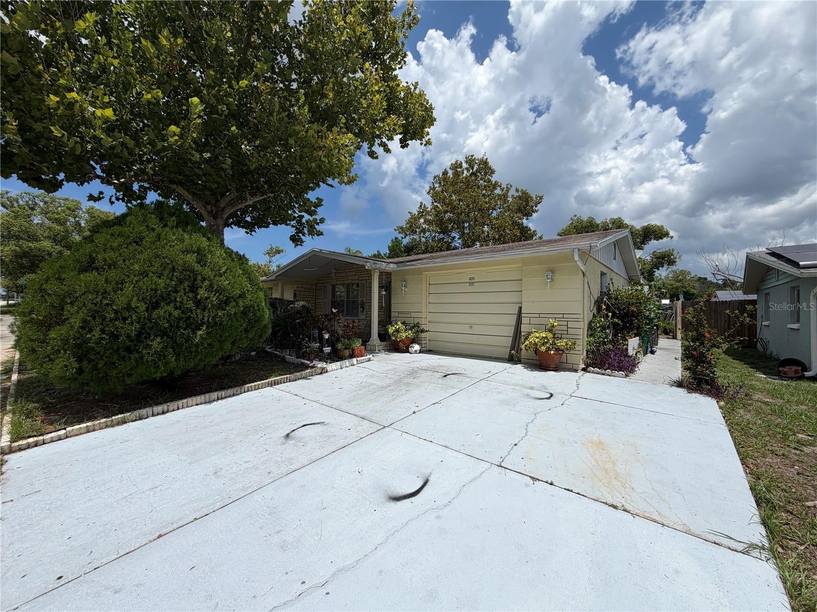 6251 6 Ave, New Port Richey, FL 34653 photo
