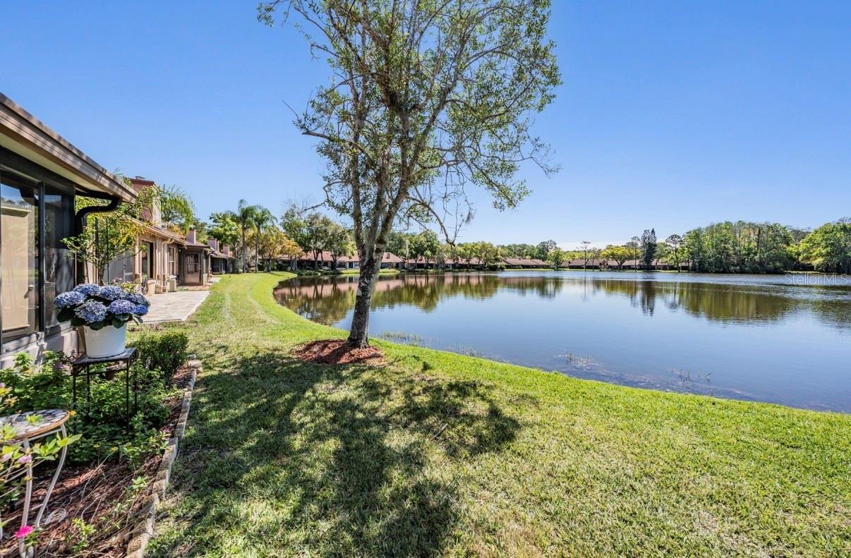 3960 Mermoor Dr, Palm Harbor, FL 34685 photo