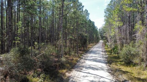  in HAWTHORNE FL TBD NE 22ND LANE.jpg