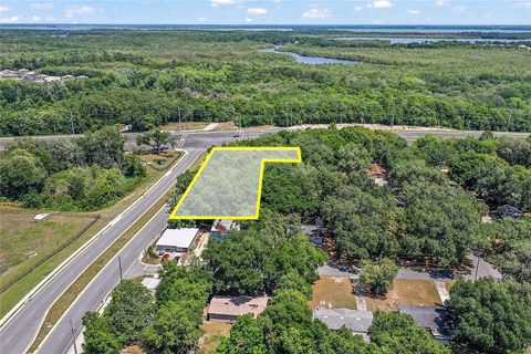  in FRUITLAND PARK FL 0 US HWY 27/441 & MILLER AVENUE.jpg