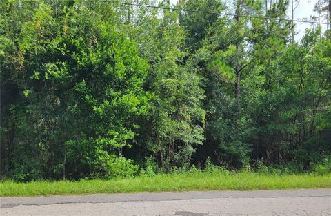  in DADE CITY FL 0021 CENTENIAL DRIVE.jpg