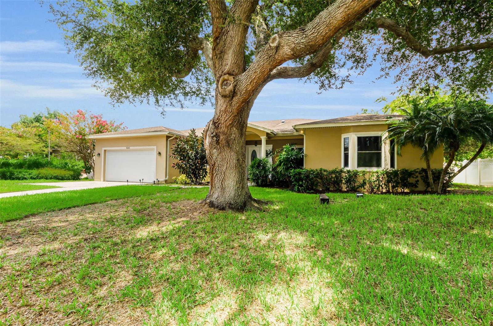 1888 Bugle Ln, Clearwater, FL 33764 photo