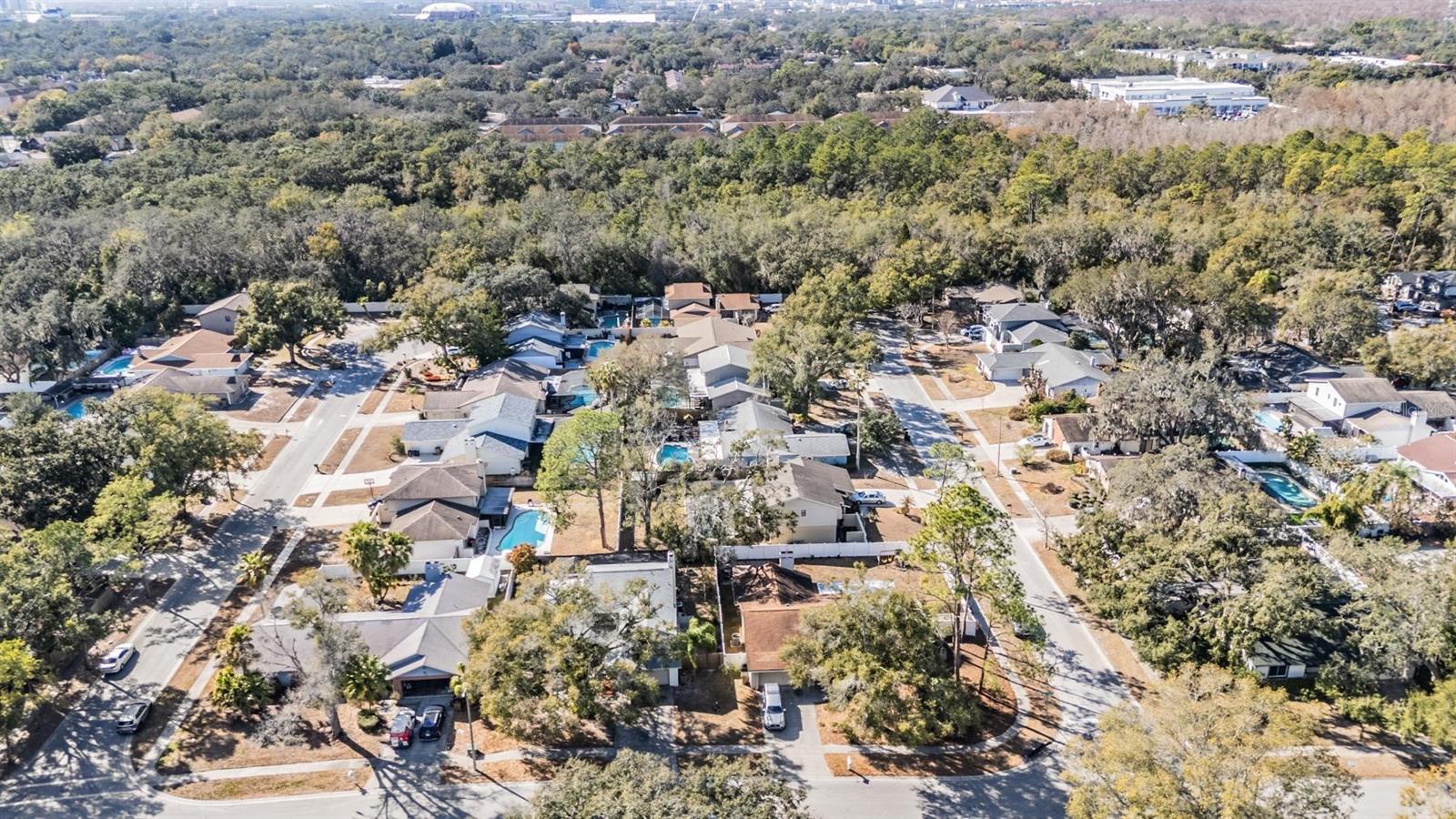 12604 Rain Forest, Temple Terrace, FL 33617 photo