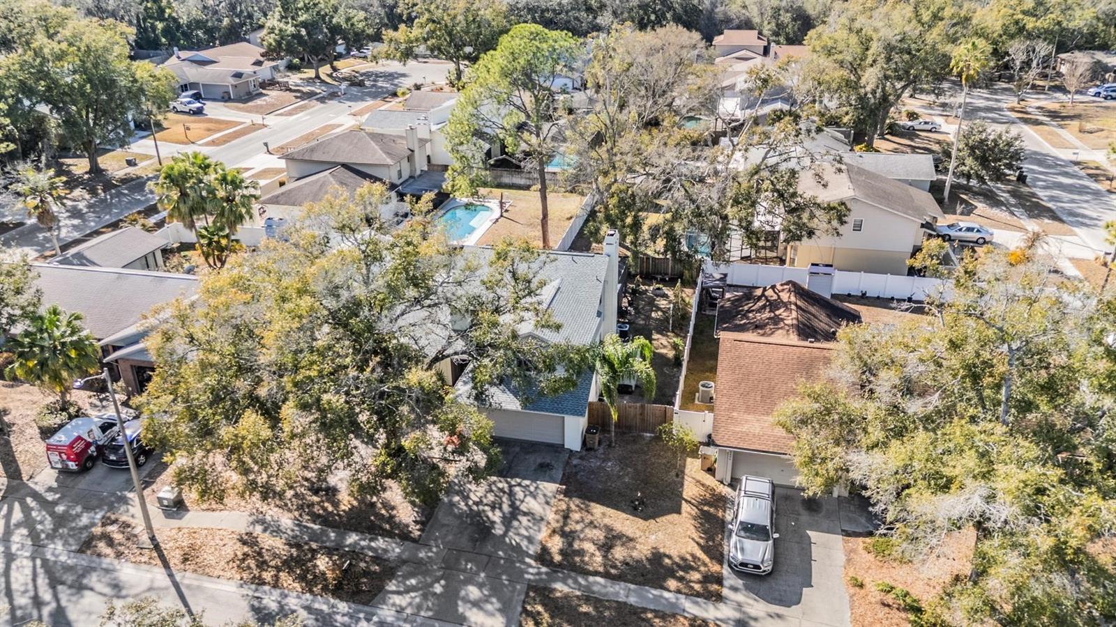 12604 Rain Forest, Temple Terrace, FL 33617 photo