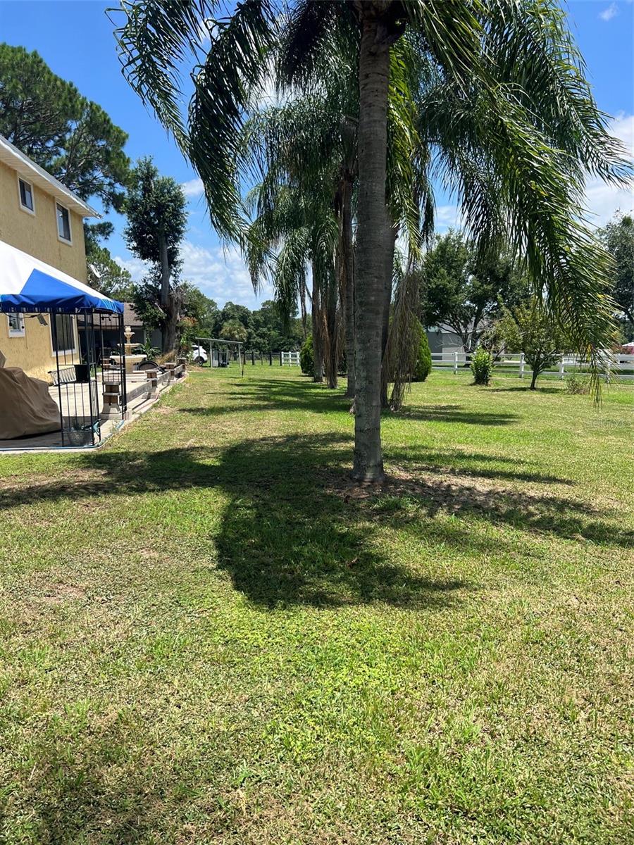 915 Hillside Ct, Winter Haven, FL 33881 photo