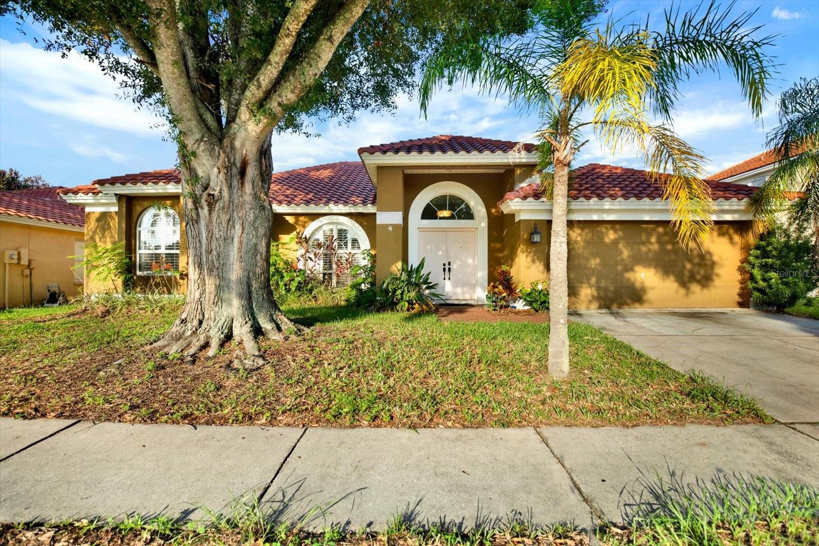 804 Sandy Trail Pl, Brandon, FL 33511