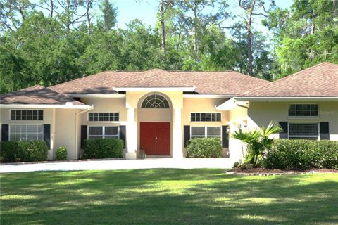 Single Family Residence in WESLEY CHAPEL FL 27641 LINCOLN PLACE.jpg