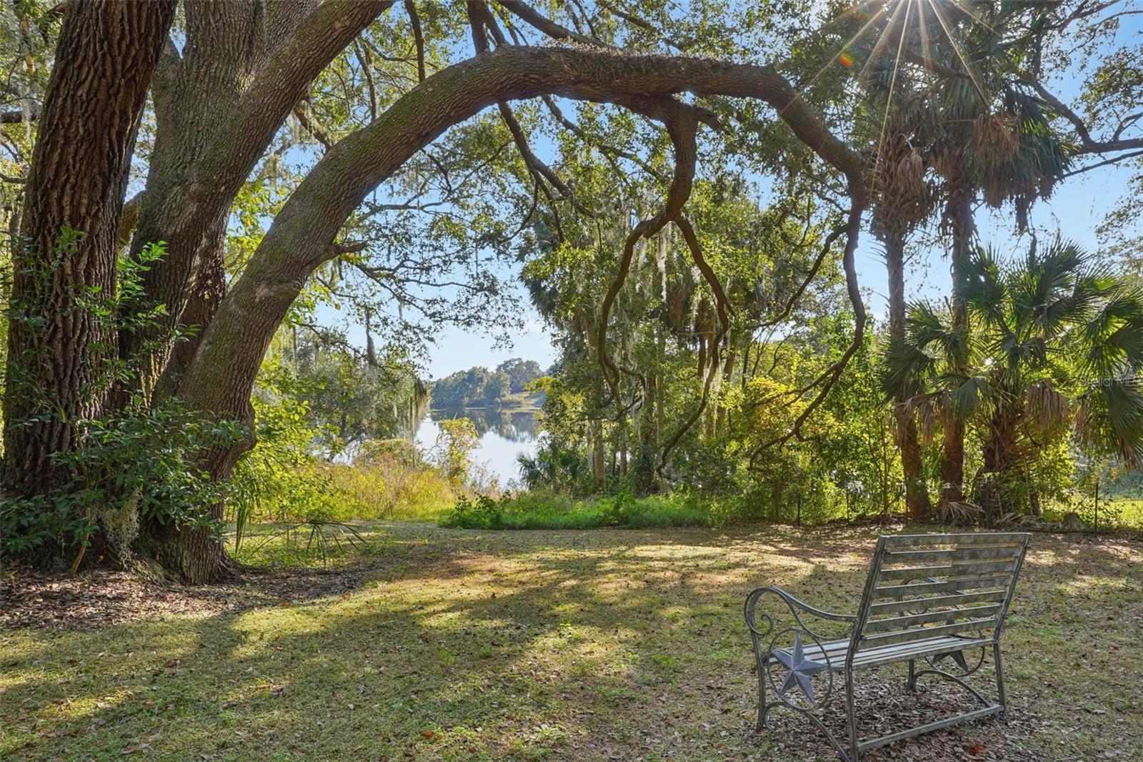 13400 County Road 450, Umatilla, FL 32784 photo