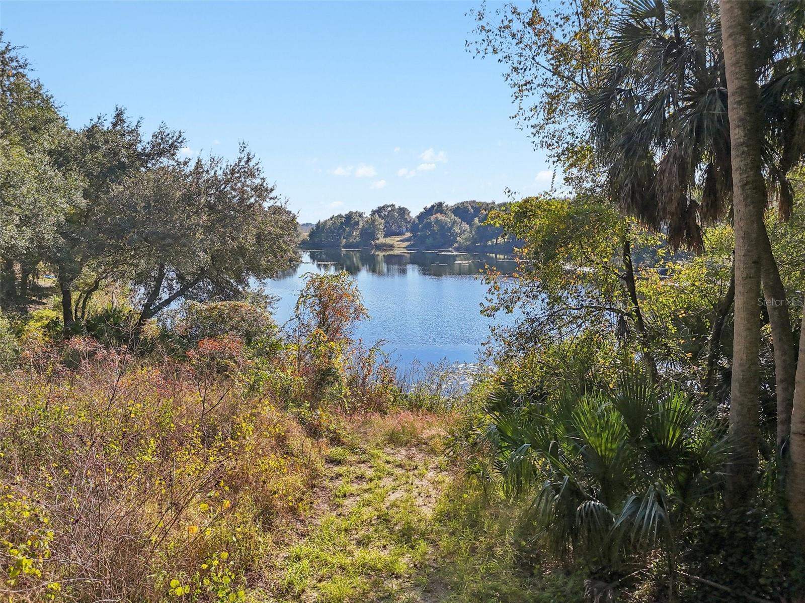13400 County Road 450, Umatilla, FL 32784 photo