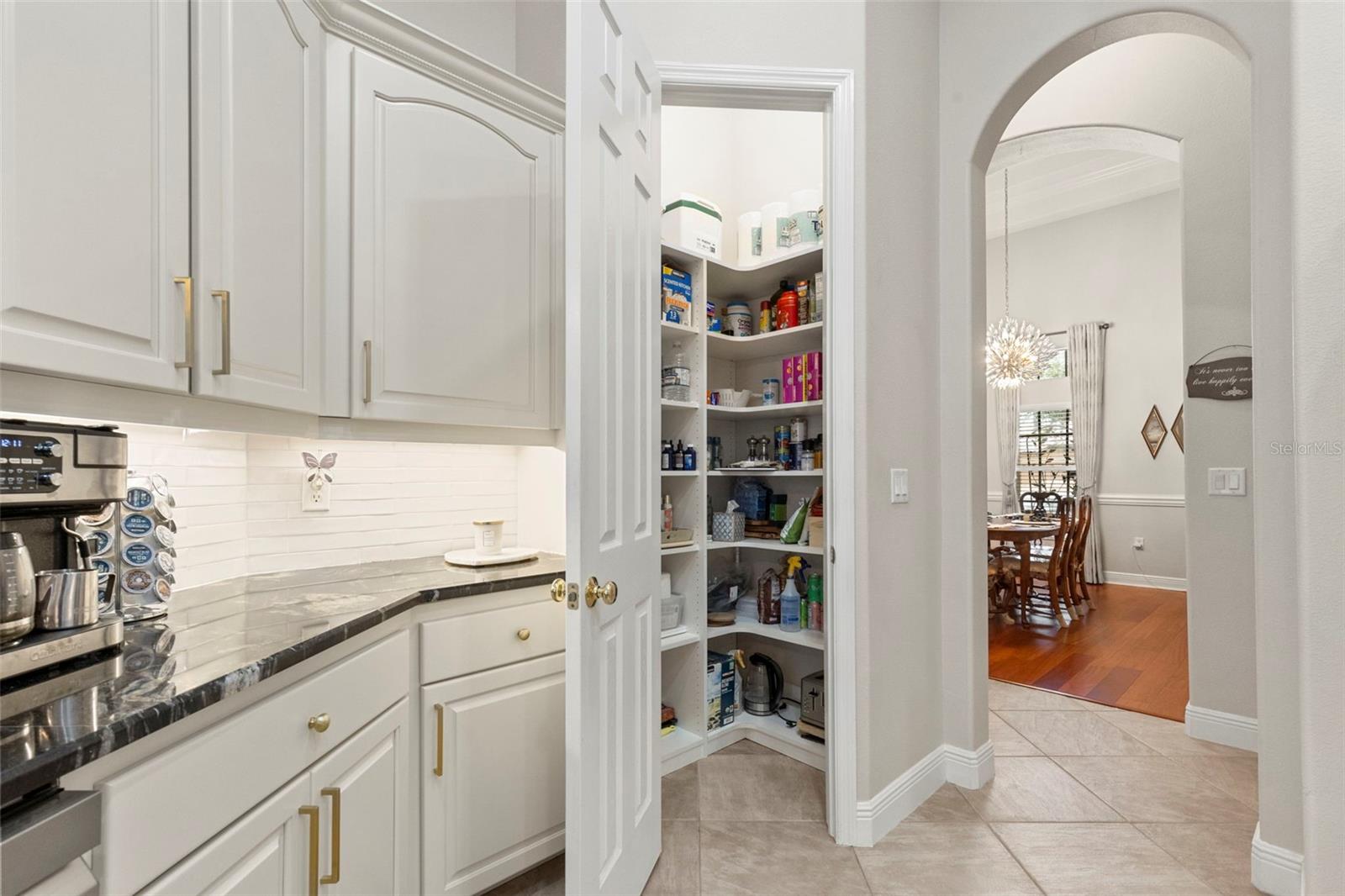 20203 Cane River Way, Tampa, FL 33647 photo