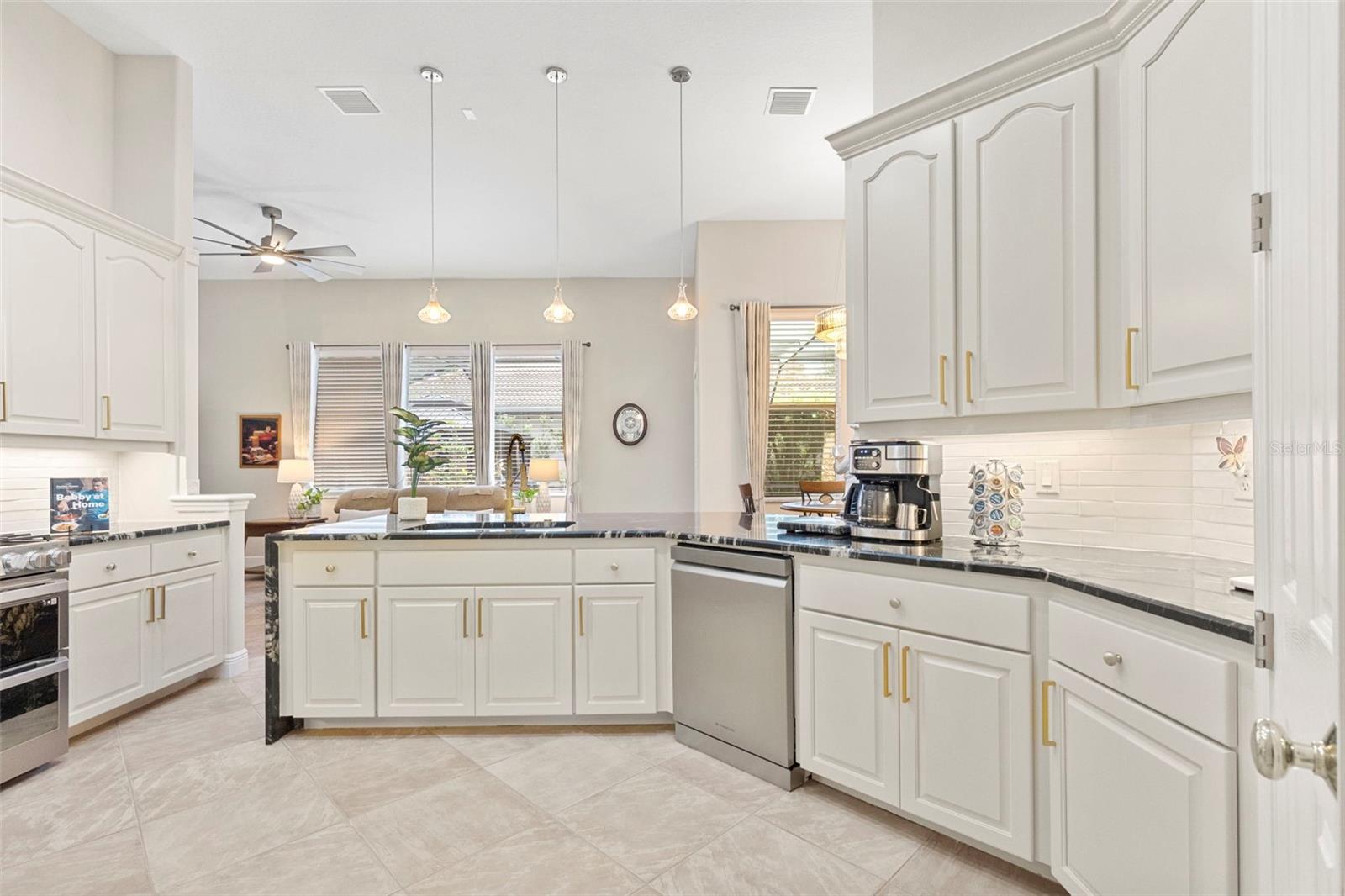 20203 Cane River Way, Tampa, FL 33647 photo