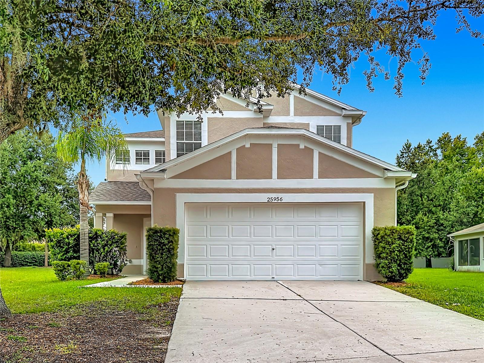 25956 Terrawood Loop, Land O Lakes, FL 34639 photo