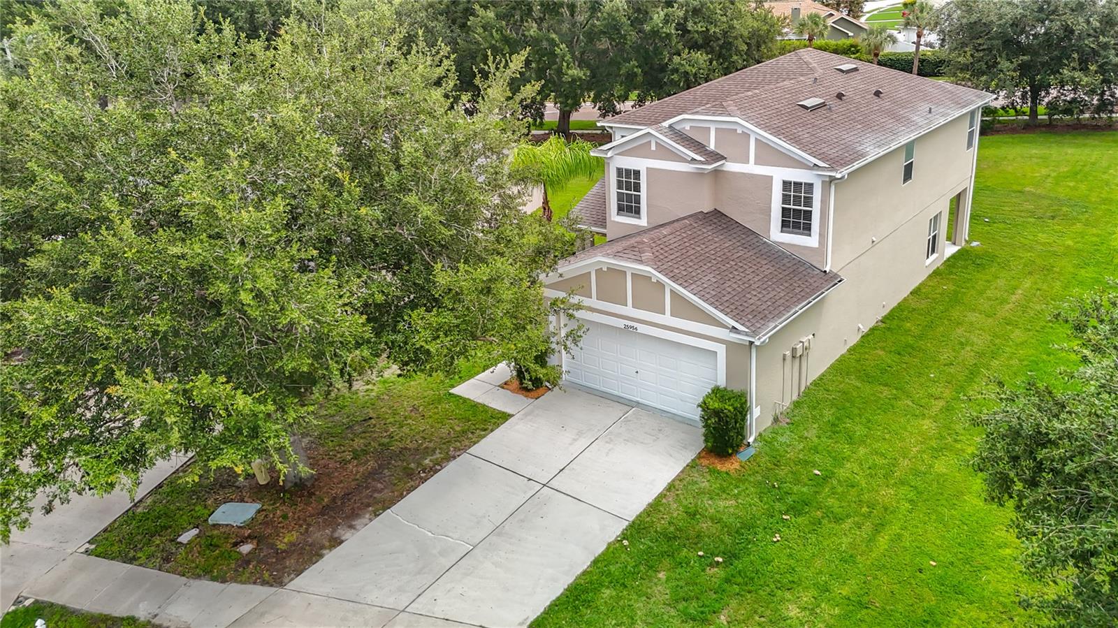 25956 Terrawood Loop, Land O Lakes, FL 34639 photo