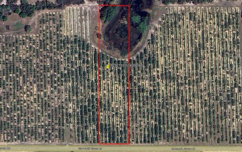  in LAKE WALES FL MAMMOTH GROVE ROAD.jpg