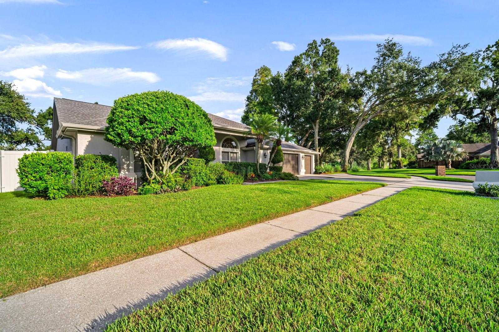 3905 Northridge Dr, Valrico, FL 33596 photo