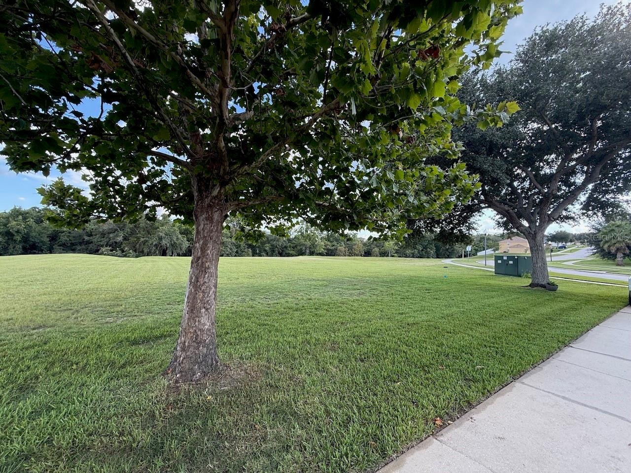 12734 Colonnade Cir, Clermont, FL 34711 photo
