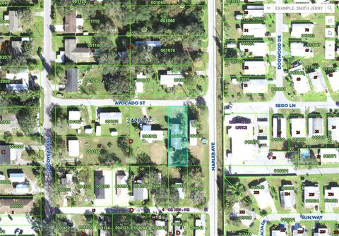  in LAKELAND FL 1603 MARLER AVENUE.jpg