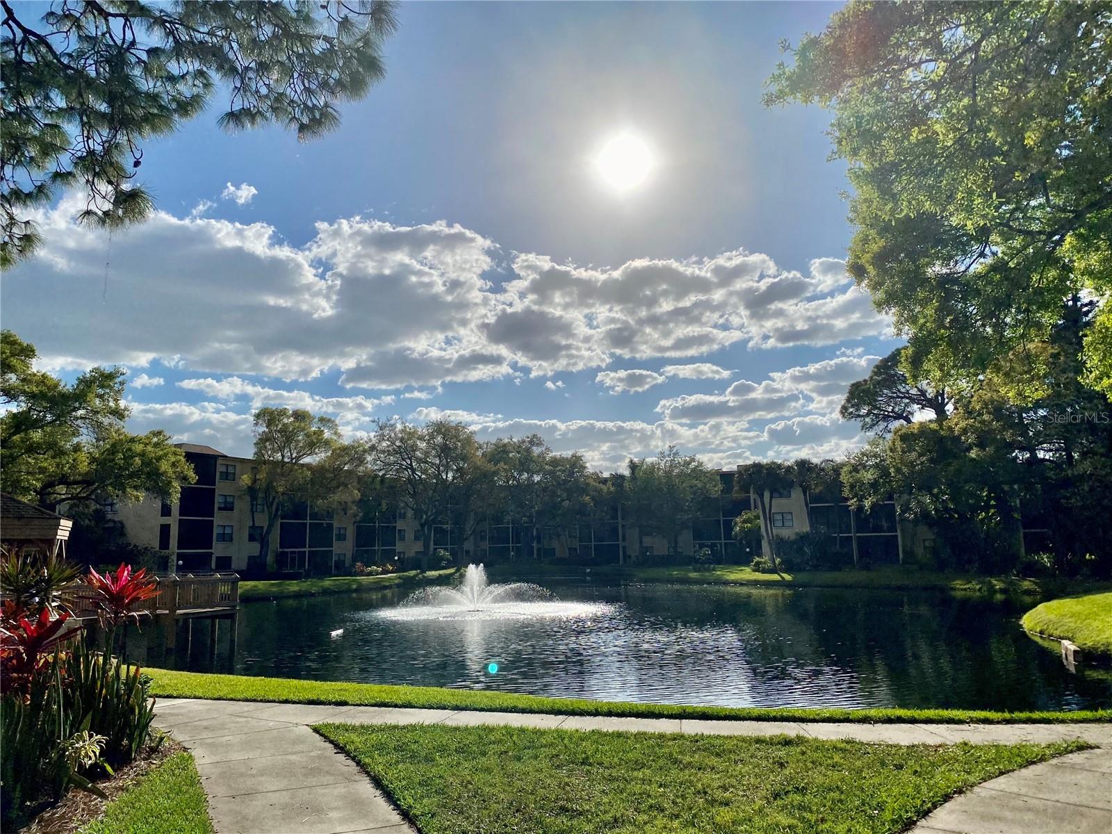 315 30 Ave #B 305, Bradenton, FL 34205 photo