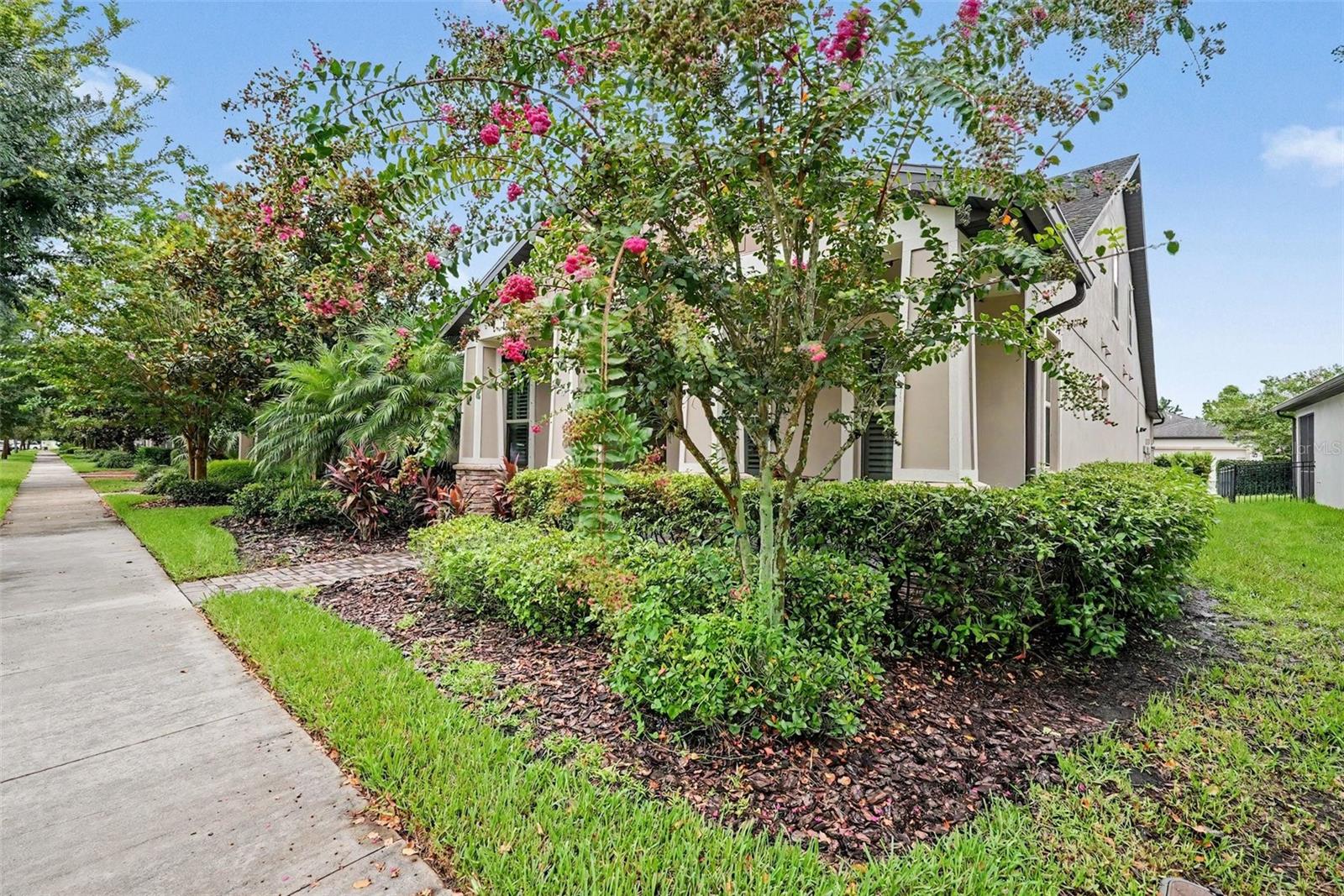 12890 Payton St, Odessa, FL 33556 photo