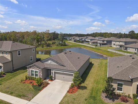 Single Family Residence in SPRING HILL FL 12647 RETREAT PLACE.jpg
