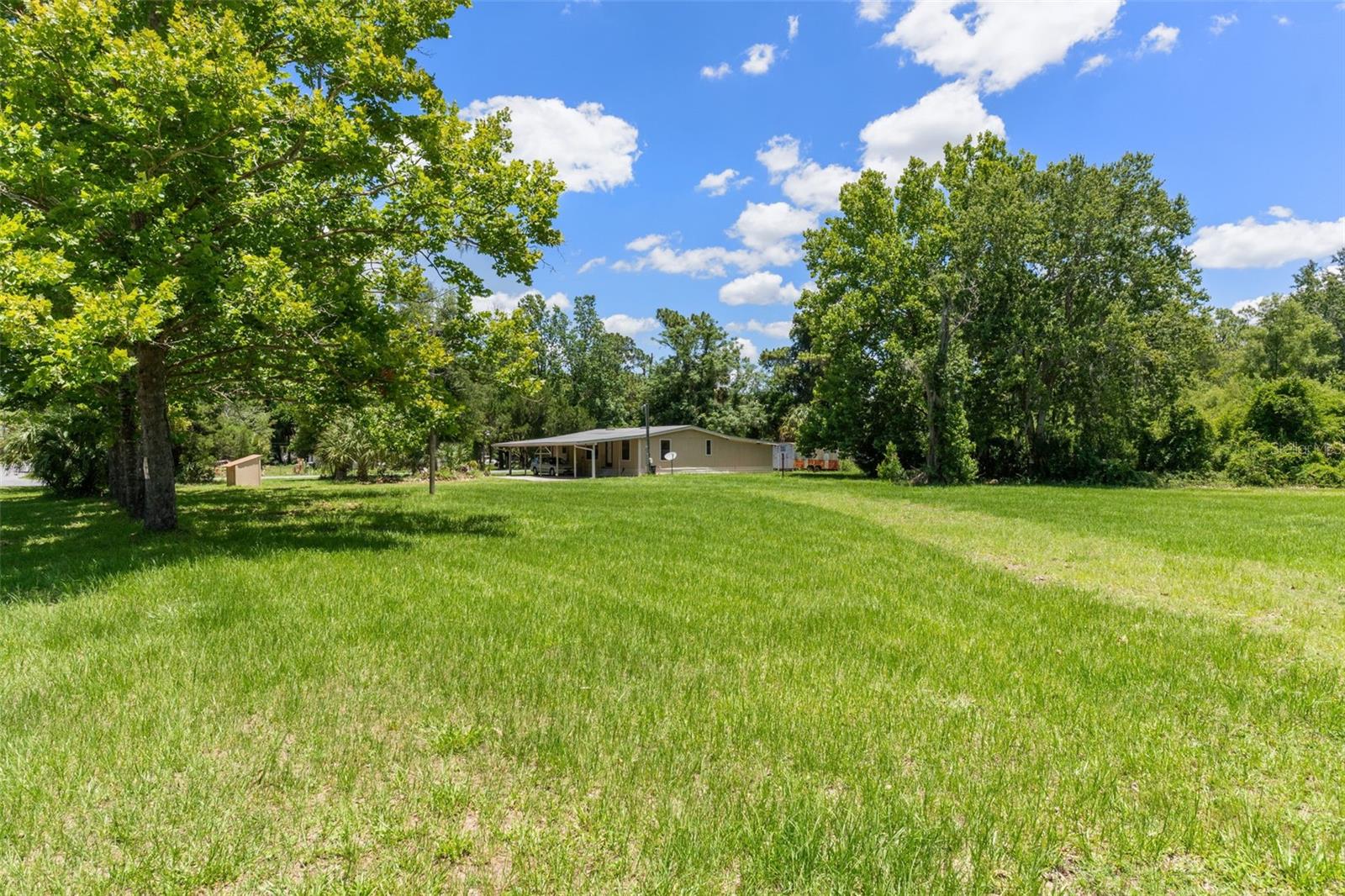 3909 S Cedar Terrace, Homosassa, FL 34448 photo