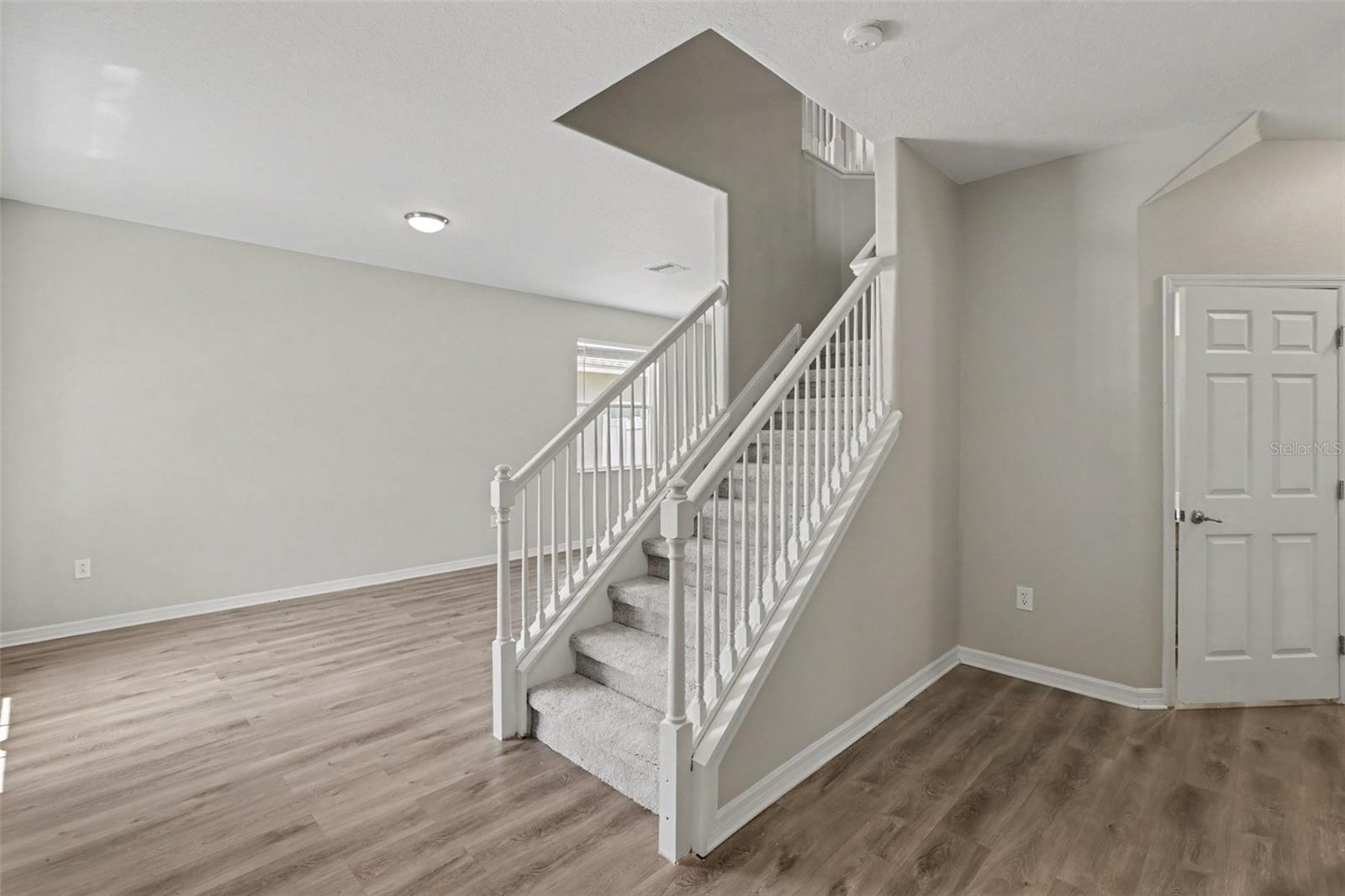 5729 Sweet William Terrace, Land O Lakes, FL 34639 photo