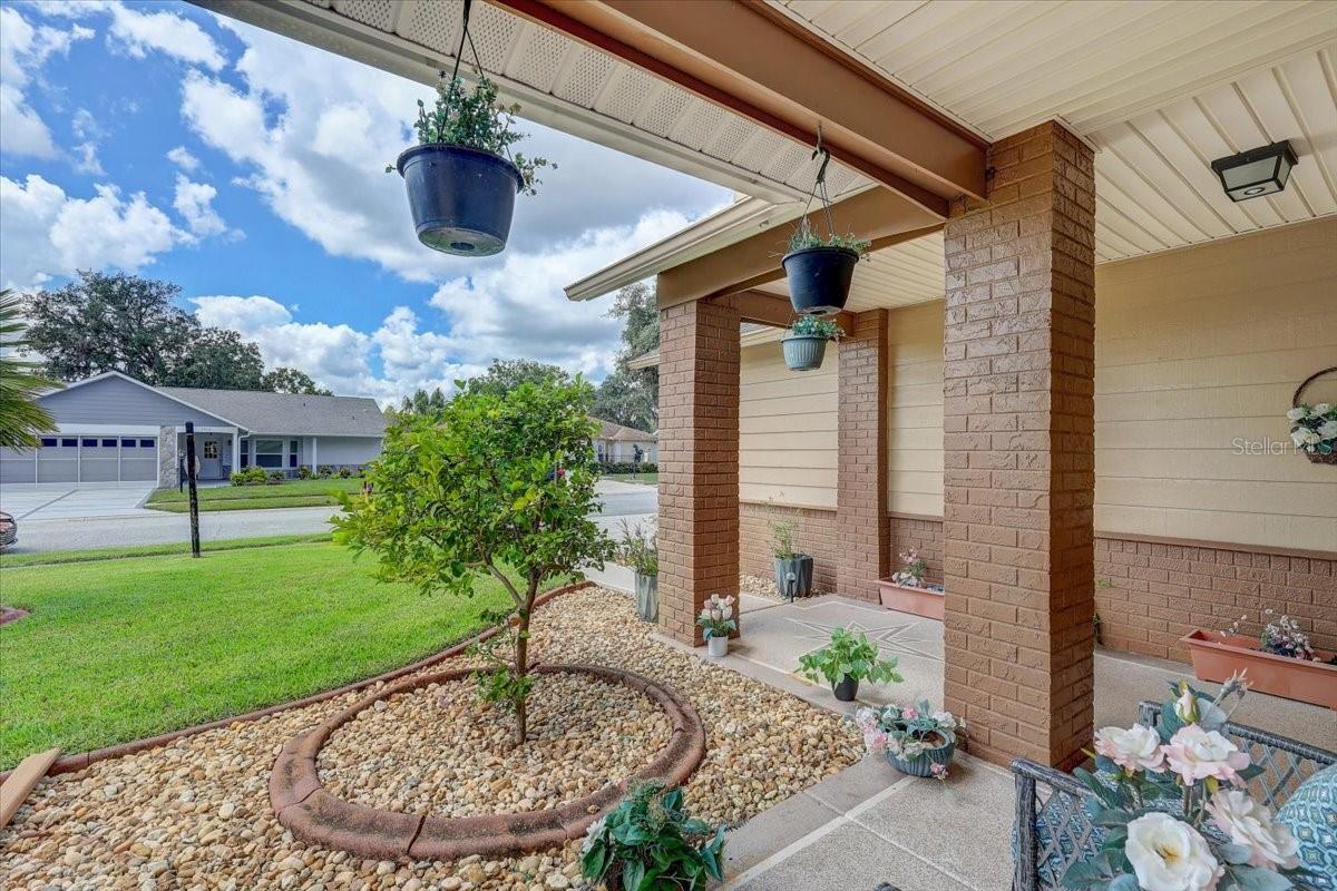 9909 Saint Joseph Ct, New Port Richey, FL 34655 photo