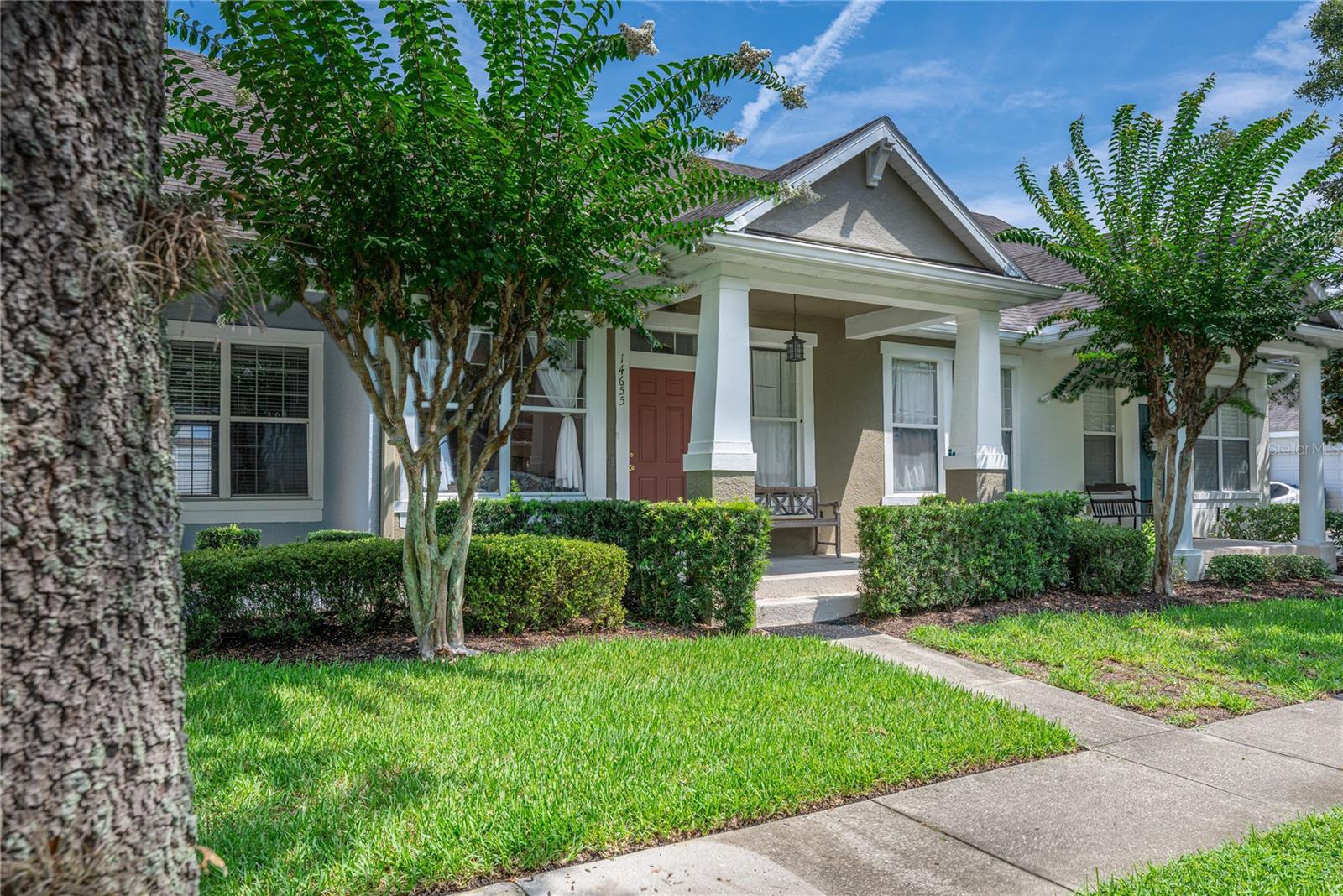 14655 Water Locust Dr, Orlando, FL 32828 photo