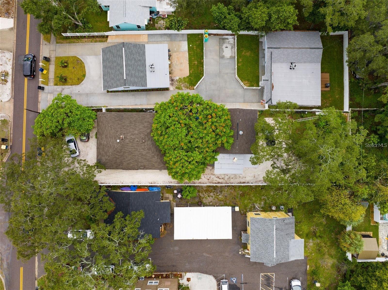 912 Druid Rd, Clearwater, FL 33756 photo