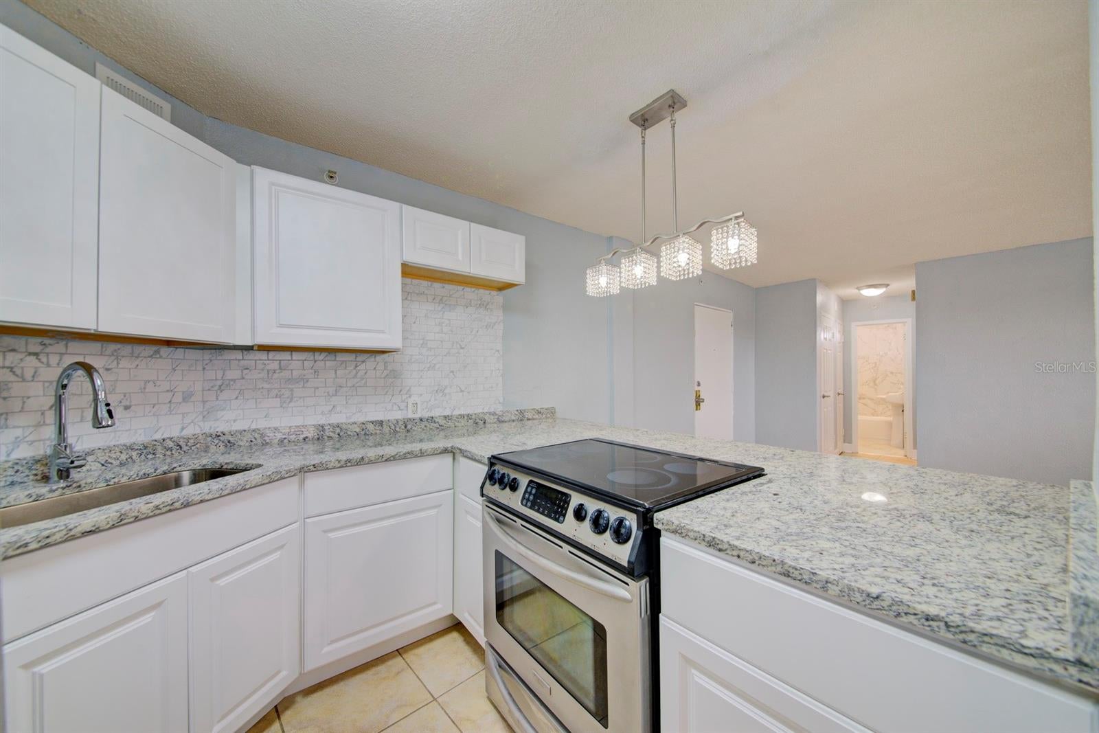 3315 58 Ave #306, Saint Petersburg, FL 33712 photo