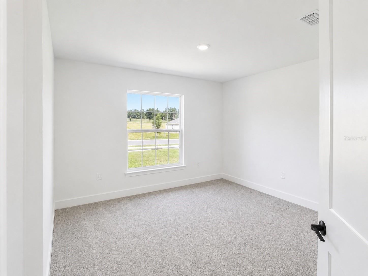 1684 Ann Rose Way, Leesburg, FL 34748 photo
