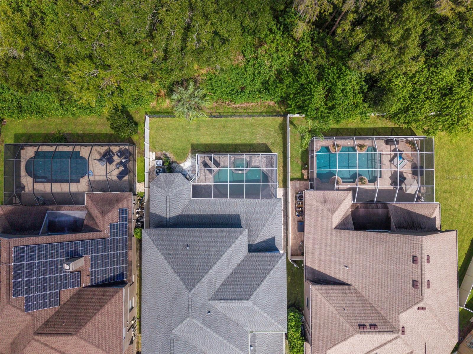 11621 Renaissance View Ct, Tampa, FL 33626 photo