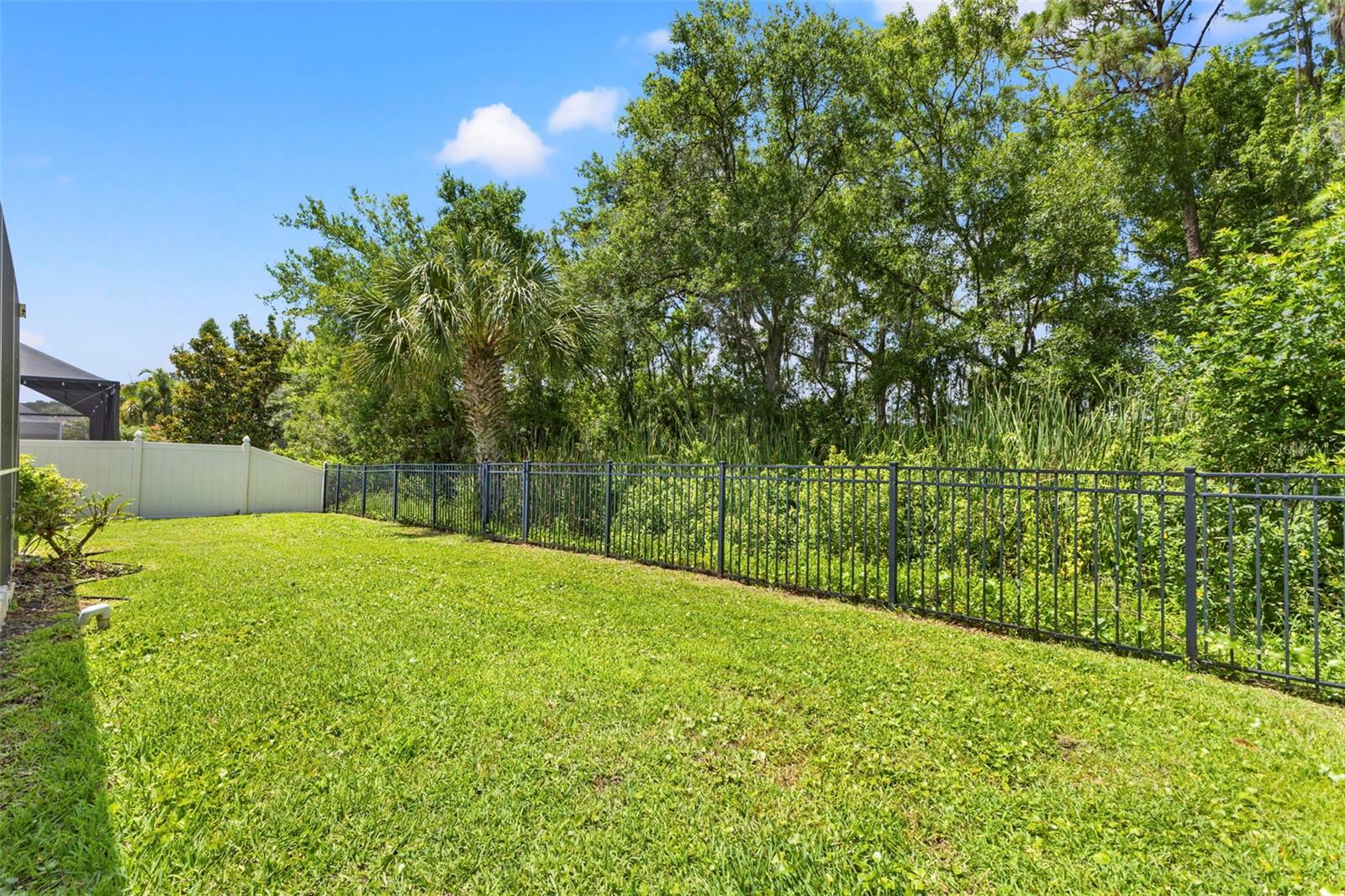 11621 Renaissance View Ct, Tampa, FL 33626 photo