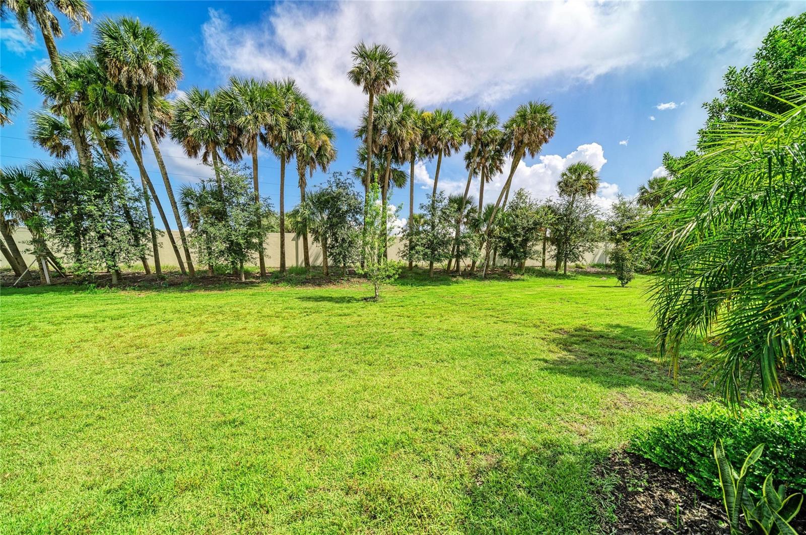 288 Soliera St, Nokomis, FL 34275 photo