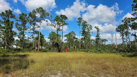  in LEHIGH ACRES FL 815 TUBA COURT.jpg