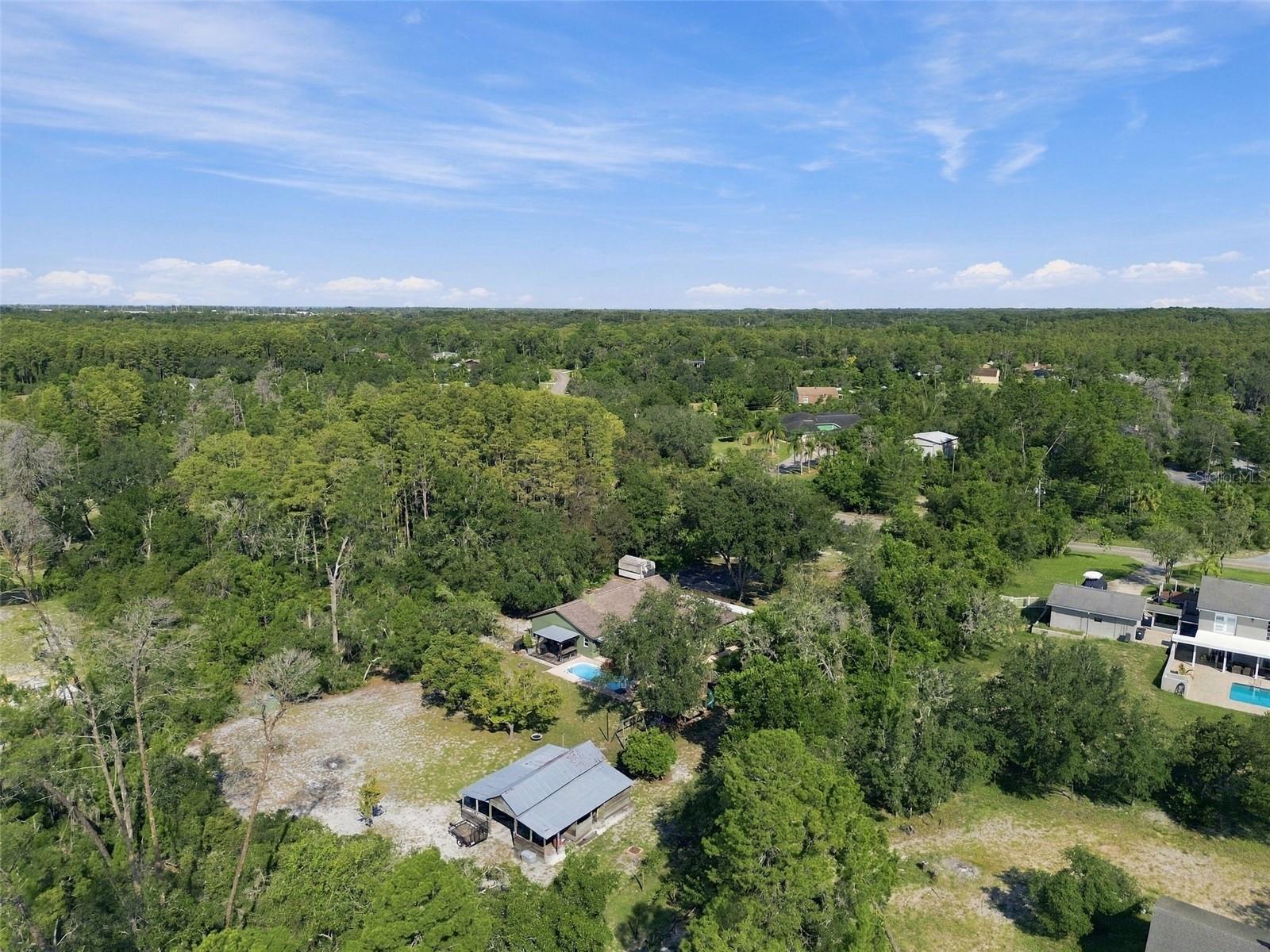 7891 Sycamore Dr, New Port Richey, FL 34654 photo