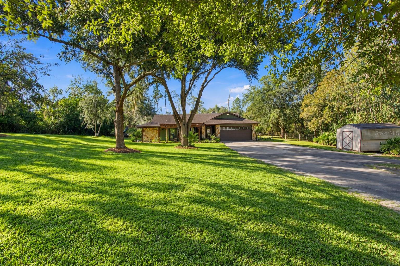 7891 Sycamore Dr, New Port Richey, FL 34654 photo