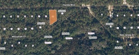 in SATSUMA FL 135 FLORIDA BOULEVARD.jpg
