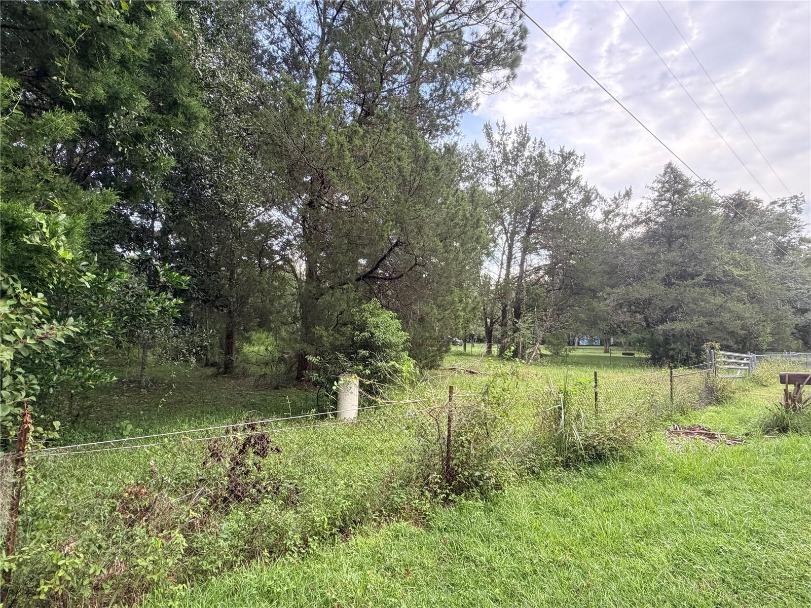 21351 Fletcher Rd, Brooksville, FL 34601 photo