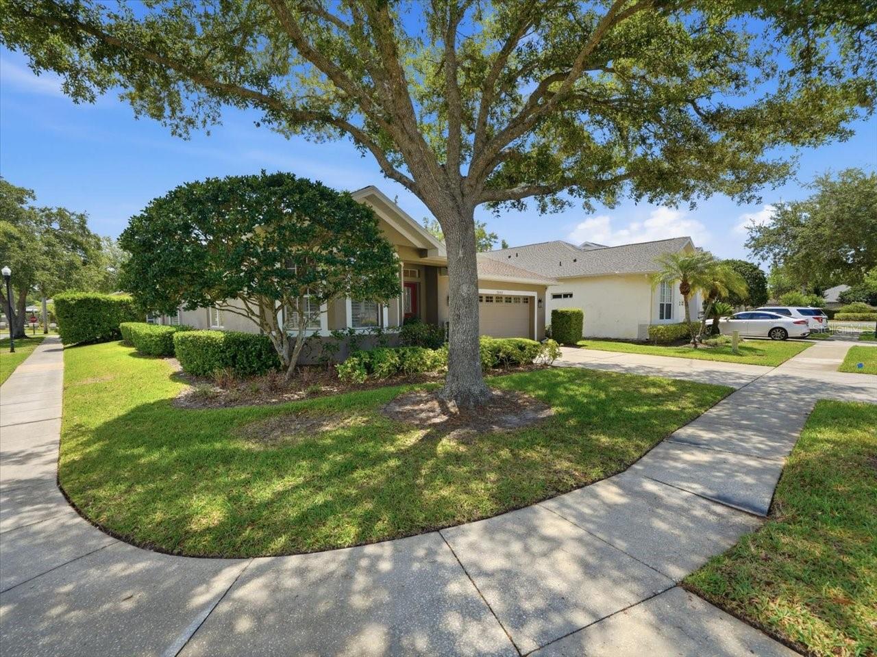 19409 Golden Slipper Pl, Lutz, FL 33558 photo