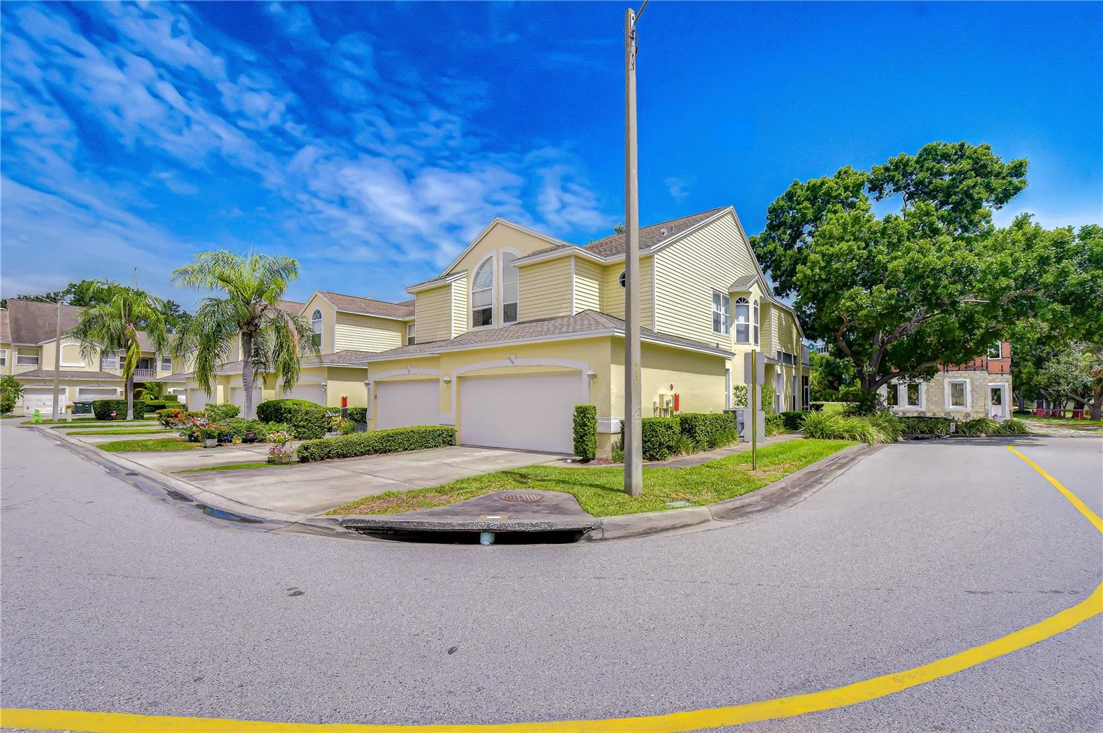 1050 Starkey Rd #2105, Largo, FL 33771 photo