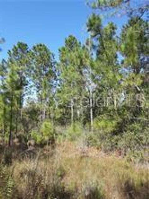  in CLERMONT FL SALYERS ROAD.jpg