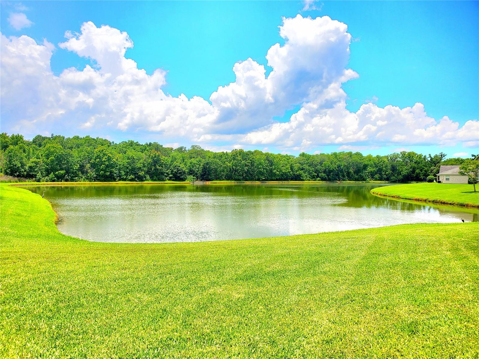 25644 Frith St, Land O Lakes, FL 34639 photo